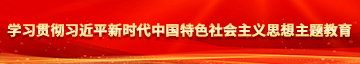 欧洲日批视频学习贯彻习近平新时代中国特色社会主义思想主题教育
