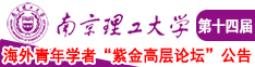 大鸡巴操骚货视频南京理工大学第十四届海外青年学者紫金论坛诚邀海内外英才！
